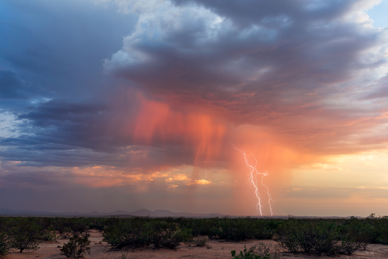 kakokairia erminio 1 4 2026